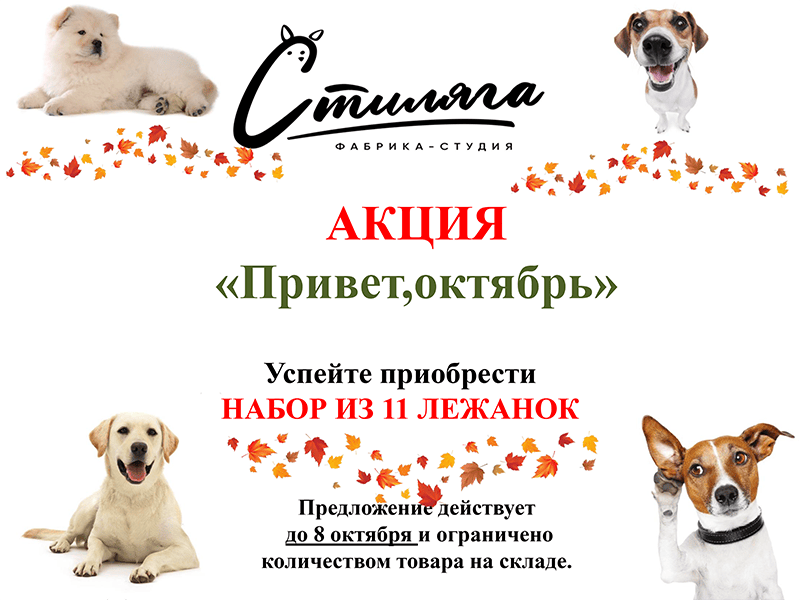 Акция